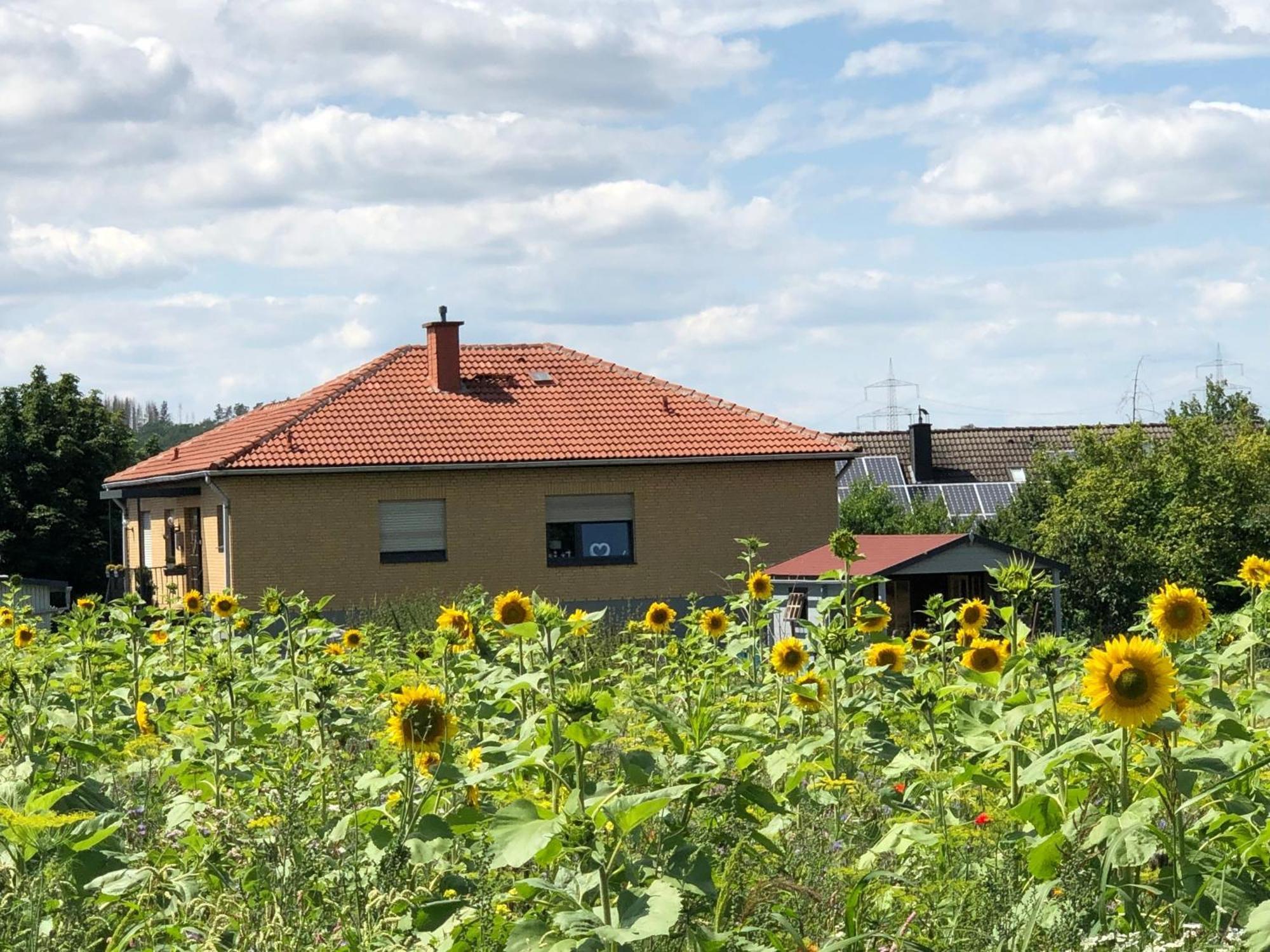 Ferienwohnung Carpe Diem Scheuerfeld Exterior foto